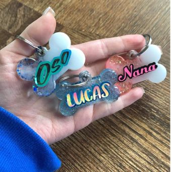 Dog Accessories