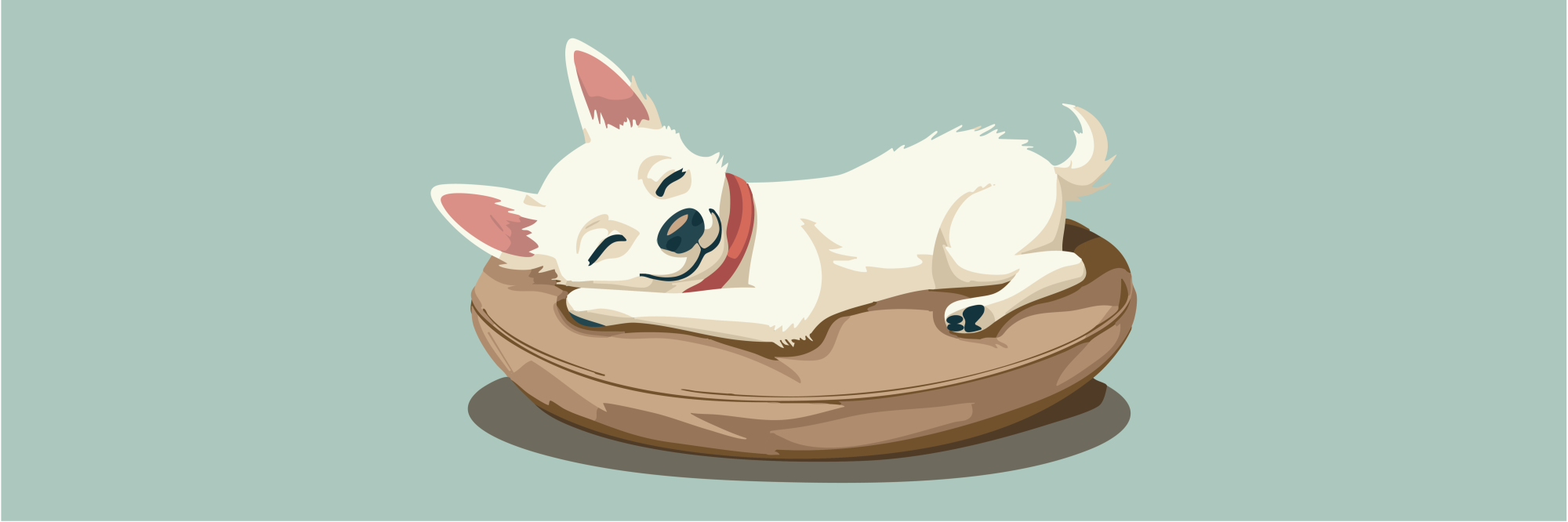 Canine Bedding