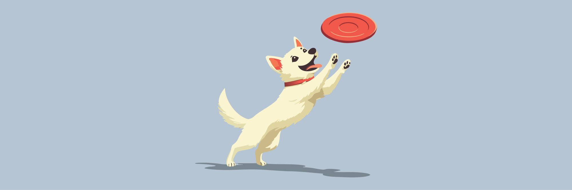 Dog Toys